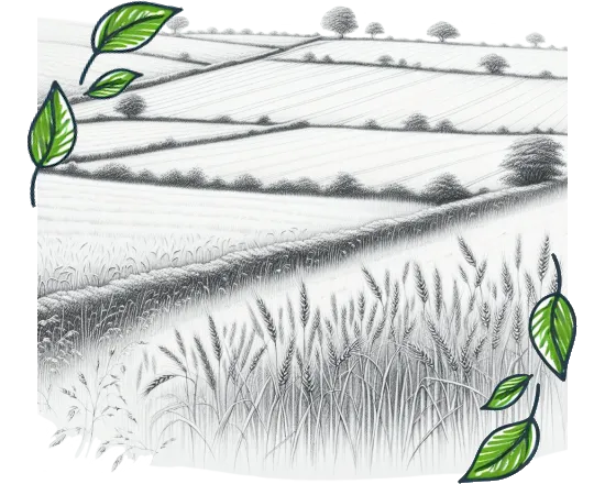 farm-img
